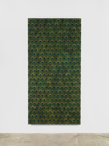 Carol Bove, Untitled, 2014. Peacock feathers on linen with UV-filtering acrylic, 96 ½ × 48 ½ × 5 inches (245.1 × 123.2 × 12.7 cm) © Carol Bove. Photo: Maris Hutchinson