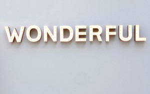 Carsten Höller, Wonderful, 2008. Aluminum channel letters, bulbs, DMX controller, 10 11/16 × 98 ½ × 4 inches (27.3 × 250.2 × 10.2 cm) Photo by Douglas M. Parker Studio