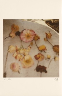 Cy Twombly, Light Flowers V (Gaeta), 2008 Color dry-print, 17 × 11 inches (43.2 × 27.9 cm), edition of 6© Nicola Del Roscio Foundation