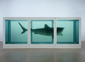 Damien Hirst, The Physical Impossibility of Death in the Mind of Someone Living, 1991. Glass, steel, formaldehyde solution, and tiger shark, 84 × 204 × 84 inches (211 × 518 × 211 cm) © Damien Hirst and Science Ltd. All rights reserved, DACS 2018
