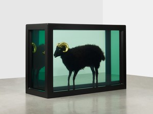 Damien Hirst, Black Sheep with Golden Horns, 2009. Glass, painted stainless steel, silicone, acrylic, gold, cable ties, sheep, and formaldehyde, 43 ½ × 63 ⅞ × 25 ¼ inches (110.3 × 162.3 × 64.1 cm) © Damien Hirst and Science Ltd. All rights reserved, DACS 2018