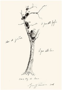 Giuseppe Penone, Idee di pietra (Ideas of Stone), 2008. Pencil and ink on paper, 18 ⅞ × 13 inches (48 × 33 cm) © 2019 Artists Rights Society (ARS), New York/ADAGP, Paris. Photo © Archivio Penone