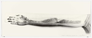 Giuseppe Penone, Svolgere la propria pelle – 11 giugno 1970 (To Unroll One’s Skin – 11 June 1970), 1970. Gelatin silver prints with selenium tone on baryte paper and typographic ink on paper, 13 ¼ × 32 ⅝ inches (33.5 × 82.8 cm) © 2019 Artists Rights Society (ARS), New York/ADAGP, Paris. Photo © Archivio Penone