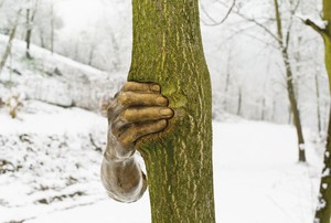 Giuseppe Penone, Alpi Marittime – Continuerà a crescere tranne che in quel punto (Maritime Alps – It Will Continue to Grow except at That Point), 1968–2003. Tree (Ailanthus altissima) and bronze, hand: 15 ¾ × 4 × 5 ⅛ inches (40 × 10 × 13 cm), tree: 275 ⅝ × 11 ⅞ × 11 ⅞ inches (700 × 30 × 30 cm) approx., San Raffaele Cimena, Italy, 2008 © 2019 Artists Rights Society (ARS), New York/ADAGP, Paris. Photo © Archivio Penone