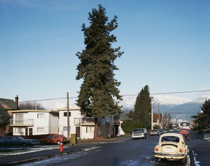 Jeff Wall, The Pine on the Corner, 1990. Transparency in lightbox, 46 ⅞ × 58 ¾ inches (119 × 149 cm) © Jeff Wall