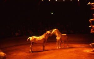 Nan Goldin, Horse Circus, Paris, 2004. Archival pigment print, 30 × 45 inches (76 × 114 cm), edition of 15 © Nan Goldin