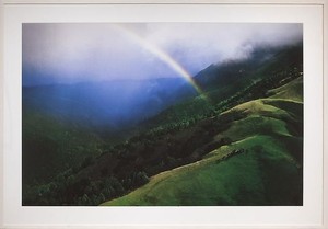 Richard Prince, Untitled (Cowboy), 1999. Ektacolor photograph, 59 ⅛ × 83 ⅛ inches (150.2 × 211.1 cm), edition of 2