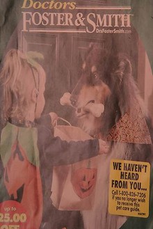 Roe Ethridge, Trick or Treat, 2009 Ink jet print, 50 × 34 inches (127 × 86.4cm), edition of 5