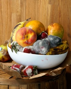 Roe Ethridge, Old Fruit, 2010. Dye sublimation print on aluminum, 50 × 40 inches (127 × 101.6 cm), edition of 5 + 2 AP © Roe Ethridge
