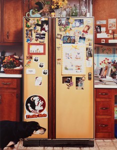 Roe Ethridge, Refrigerator, 1999. Dye sublimation print on aluminum, 30 × 24 inches (76.2 × 61 cm), edition of 5 + 2 AP © Roe Ethridge