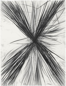 Sterling Ruby, SCHIZANTHUS TWINKLE (8466), 2023. Graphite on paper, 30 × 22 ⅝ inches (76.2 × 57.5 cm) © Sterling Ruby
