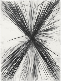 Sterling Ruby, SCHIZANTHUS TWINKLE (8466), 2023 Graphite on paper, 30 × 22 ⅝ inches (76.2 × 57.5 cm)© Sterling Ruby