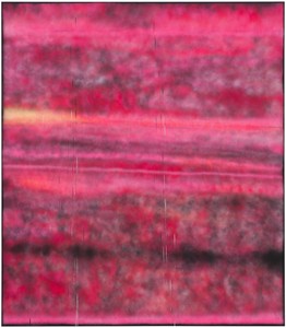 Sterling Ruby, SP288, 2014. Spray paint on synthetic canvas, 96 × 84 inches (243.8 × 213.4 cm) © Sterling Ruby