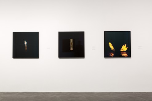 Installation view, Taryn Simon: A Soldier Is Taught to Bayonet the Enemy and Not Some Undefined Abstraction, Staatliche Kunstsammlungen, Dresden, Germany, October 27, 2016–January 15, 2017 Artwork © Taryn Simon. Photo: David Pinzer, courtesy Staatliche Kunstsammlungen, Dresden