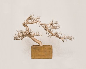 Tom Sachs, Bonsai, 2016. Bronze, 65 × 91 × 57 inches (165.1 × 231.1 × 144.8 cm) © Tom Sachs. Photo: Genevieve Hanson