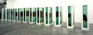 Damien Hirst Some Comfort Gained from the Acceptance of the Inherent Lies in Everything, 1995. Steel, glass, cows and formaldehyde solution, 12 tanks: 78 ¾ × 35 ⅜ × 11 ¾ inches each (200x 90 × 30 cm)