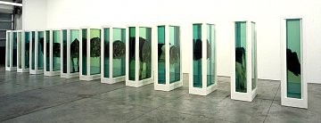 Damien Hirst: No Sense of Absolute Corruption, Wooster Street, New York
