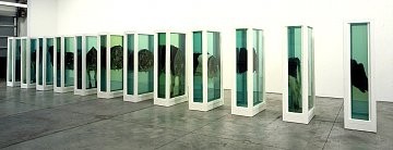 Damien Hirst: No Sense of Absolute Corruption, Wooster Street, New