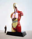 Damien Hirst: Theories, Models, Methods, Approaches, Assumptions, Results and Findings, 555 West 24th Street, New York