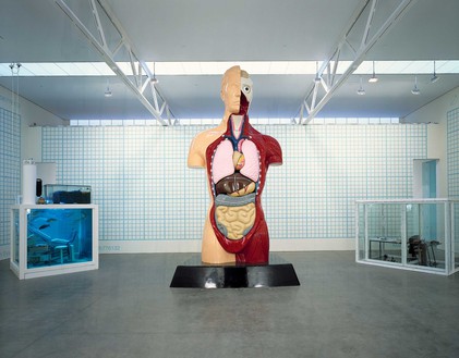 Installation view Artwork © Damien Hirst and Science Ltd. All rights reserved, DACS 2020