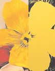 Jeff Koons | Andy Warhol: Flowers, 980 Madison Avenue, New York