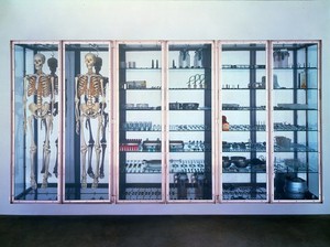 Damien Hirst, Stripteaser, 2000. Stainless steel and glass cabinet with two skeleons and medical instruments, 77 × 148 × 20 inches (195.6 × 376 × 50.8 cm). Private collection