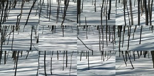 ELYN ZIMMERMAN Winter Trees III, 2004. Digital chromogenic print Size varies Ed. of 5