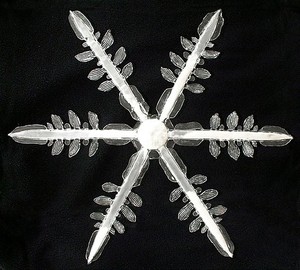 Carsten Höller, Snowflake II, 2000–05. Glass, chemical substance, 23 ⅝ × 23 3/16 × 4 inches (60 × 59 × 10 cm), edition of 10
