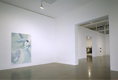 Damien Hirst: The Elusive Truth Gallery installation view