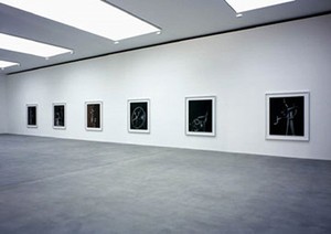 Hiroshi Sugimoto: Conceptual Forms. Gallery installation view