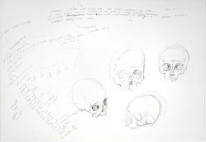 Damien Hirst, Untitled (Four Skulls), 2003. Pencil on paper, 29 ½ × 43 5/16 inches (75 × 110 cm)
