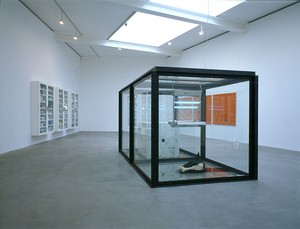 Damien Hirst: A Thousand Years &amp; Triptychs. Installation view