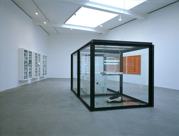 Jhdaru69f1qa_600x600.jpg