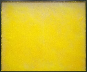 Piotr Uklański, Untitled (Chartreuse), 2007. Crayola wax crayon shavings and Plexiglas with adhesive film in wood frame, 66 ½ × 79 ½ × 3 inches (168.9 × 201.9 × 7.6 cm)