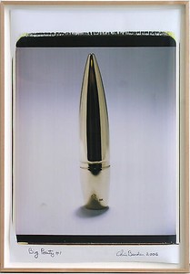 Chris Burden, Big Pointy #1, 2006. Polaroid print on paper, 35 × 23 inches (88.9 × 58.4 cm)