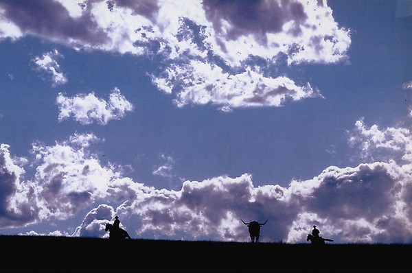 Richard Prince: Four Blue Cowboys, Rome, June 20–September 6, 2008