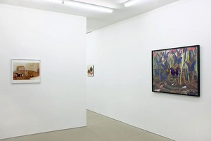 Untitled (Vicarious). Installation view