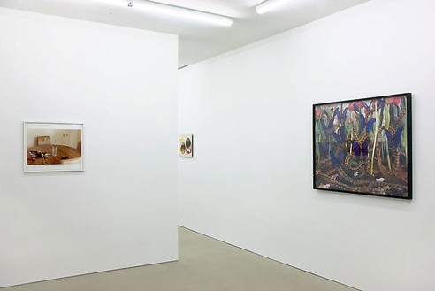 Untitled (Vicarious) Installation view
