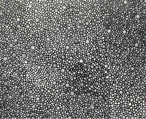 Yayoi Kusama, DOTS OBSESSION (TBAOQ), 2007. Acrylic on canvas, 51 ⅛ × 63 ¾ inches (130 × 162 cm)