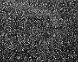 Yayoi Kusama, BLACK NETS [QUTWO], 2007. Acrylic on canvas, 51 5/16 × 63-13/16 inches (130.3 × 162.cm)
