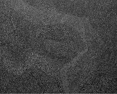 Yayoi Kusama, BLACK NETS [QUTWO], 2007 Acrylic on canvas, 51 5/16 × 63-13/16 inches (130.3 × 162.cm)