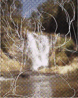Jeff Koons, Waterfall Tree Rocks (Dots), 2008 Oil on canvas, 108 × 84 inches (274.3 × 213.4 cm)© Jeff Koons