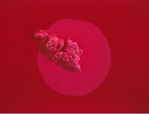 Piotr Uklański, Untitled (Pink Placenta), 2009. Resin on canvas, 70 × 93 × 7 11/16 inches (177.8 × 236.2 × 19.6 cm)