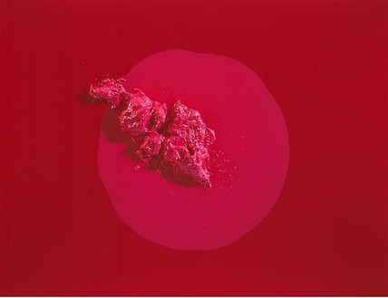Piotr Uklański, Untitled (Pink Placenta), 2009 Resin on canvas, 70 × 93 × 7 11/16 inches (177.8 × 236.2 × 19.6 cm)