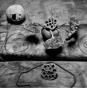 Roger Ballen, Seed pods, 2008. Gelatin silver print, 31 ½ × 31 ½ inches (80 × 80 cm), edition of 10