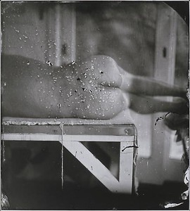 Sally Mann, Kingfisher's Wing, 2007. Gelatin silver print, 15 × 13 ½ inches (38.1 × 34.3 cm), edition of 5