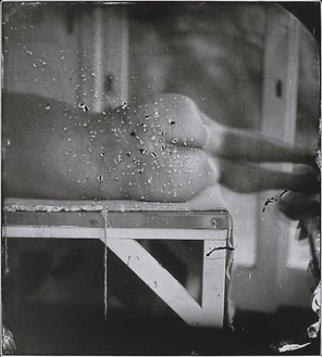 Sally Mann, Kingfisher's Wing, 2007 Gelatin silver print, 15 × 13 ½ inches (38.1 × 34.3 cm), edition of 5