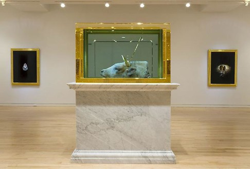 Installation view Artwork © Damien Hirst and Science Ltd. All rights reserved, DACS 2010