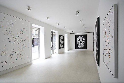 Installation view  Artwork © Damien Hirst. All rights reserved, DACS 2010