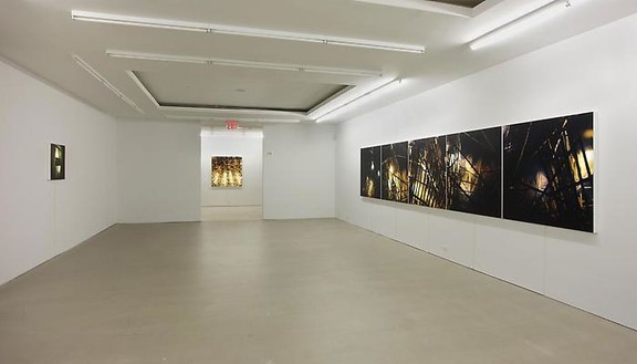 Elisa Sighicelli: The Party Is Over Installation view